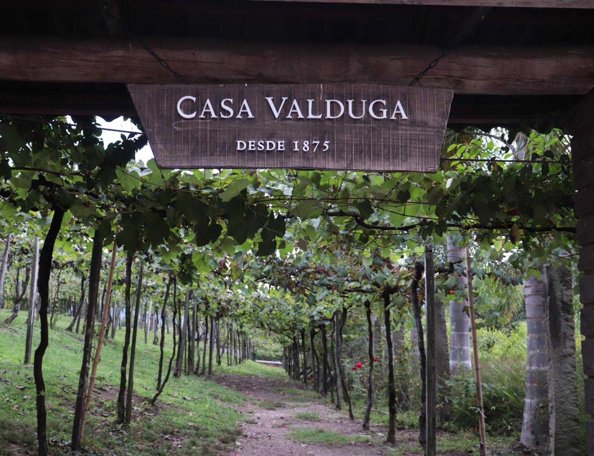Casa Valduga Pousada Boutique Bento Gonçalves Exterior foto